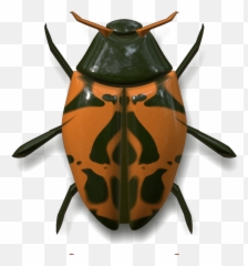 Ladybug Dark Green And Orange Transparent Png - Stickpng Green Orange Bug Png,Lady Bug Png