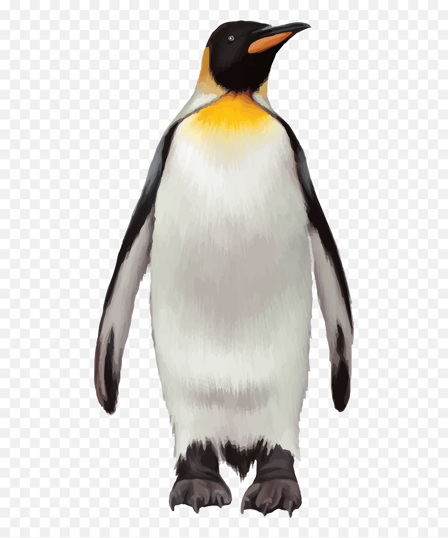 Penguin Transparent Background Png - Penguin Png,Penguin Transparent