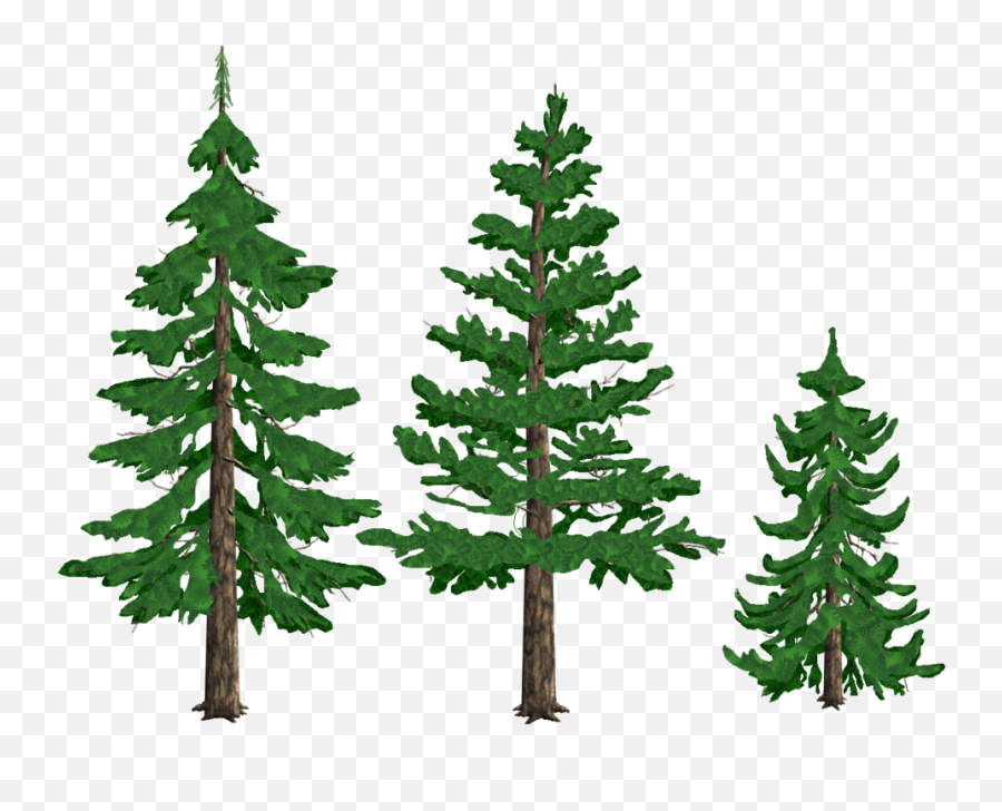 27 Pine Tree Clipart Transparent Background Free Clip Art - Transparent Pine Tree Clipart Png,Clip Art Transparent Background