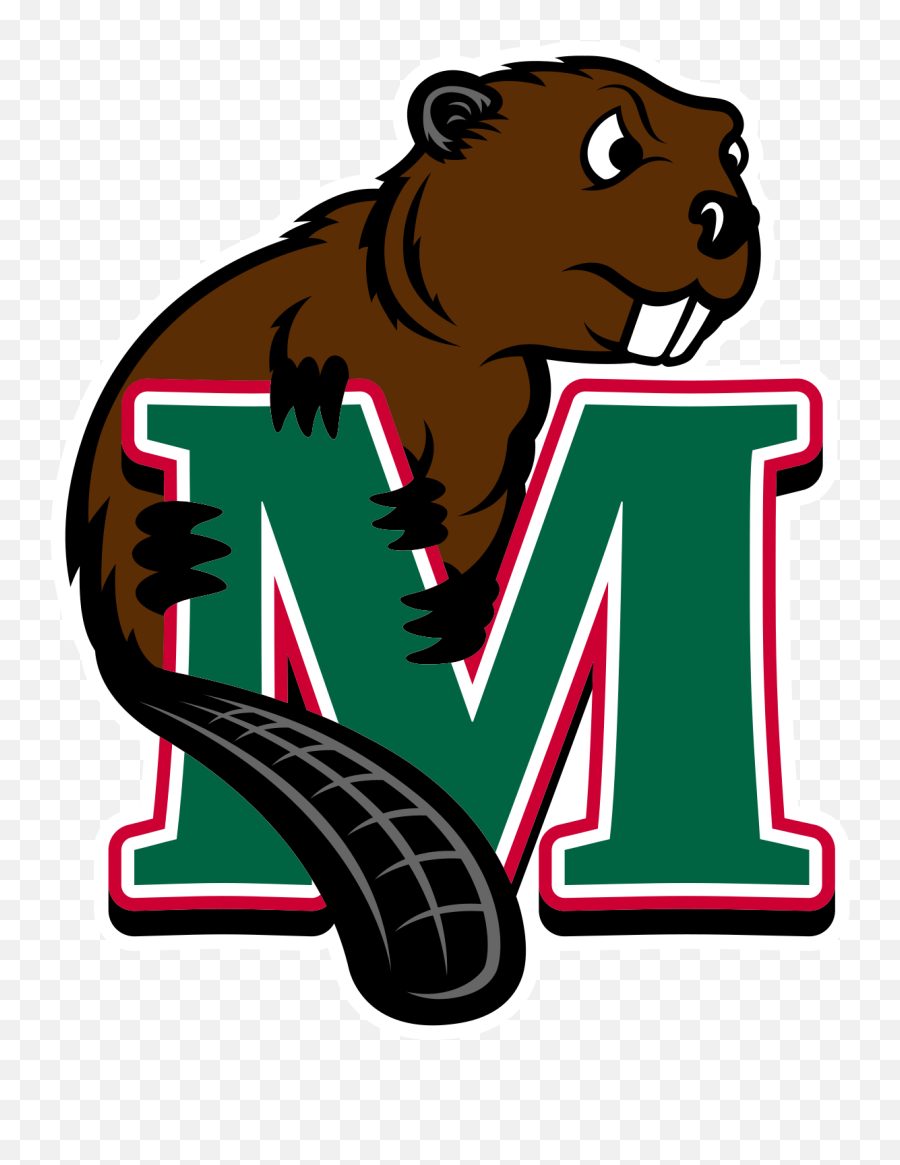 Minot State Beavers - Wikipedia Minot State Beavers Logo Png,Beaver Transparent