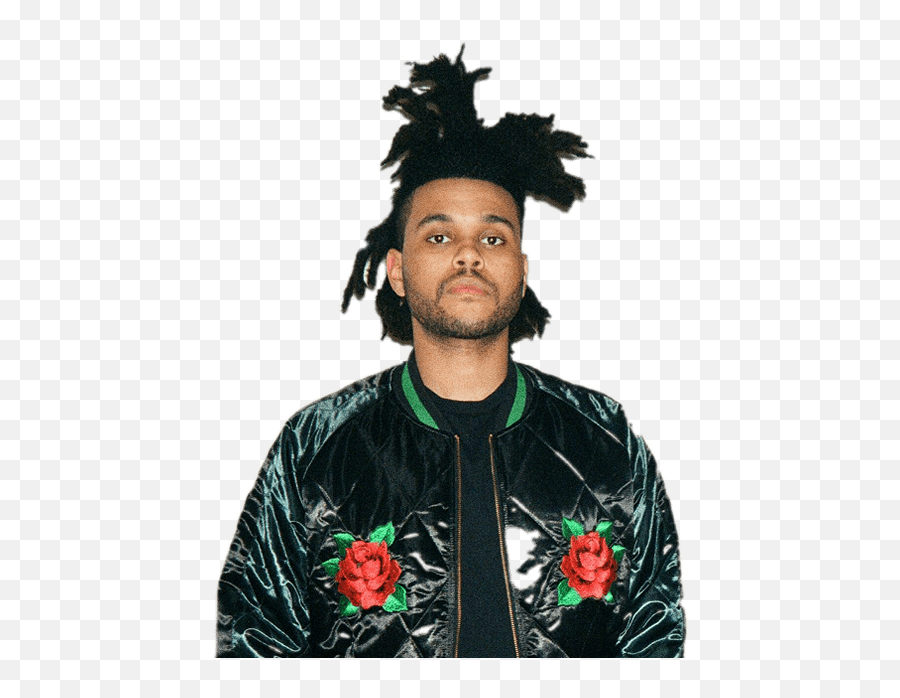 Download Hd The Weeknd Rose Jacket - Weeknd Palm Tree Hair Weekend Palm Tree Hair Png,The Weeknd Png
