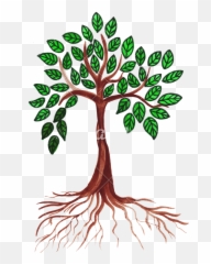 Mlg Illuminati - Drawing Transparent Png Original Size Easy Of Neem Plant