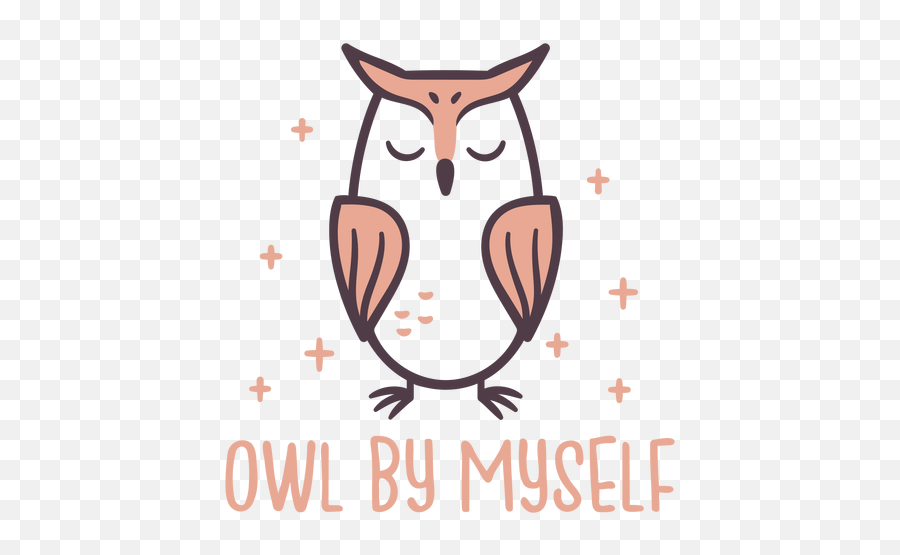 Sparkly Owl Cute Design Png