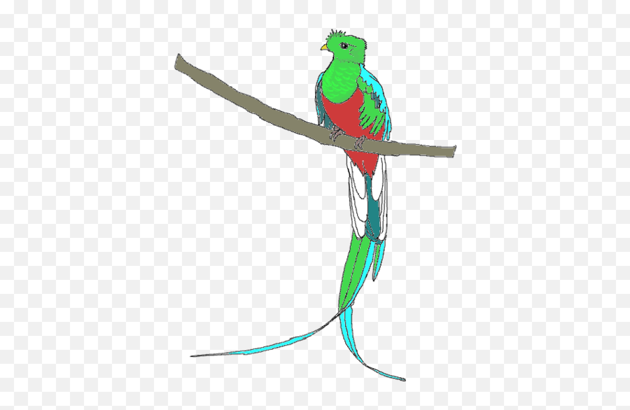 Quetzal - Cliparts Quetzal Png,Quetzal Png