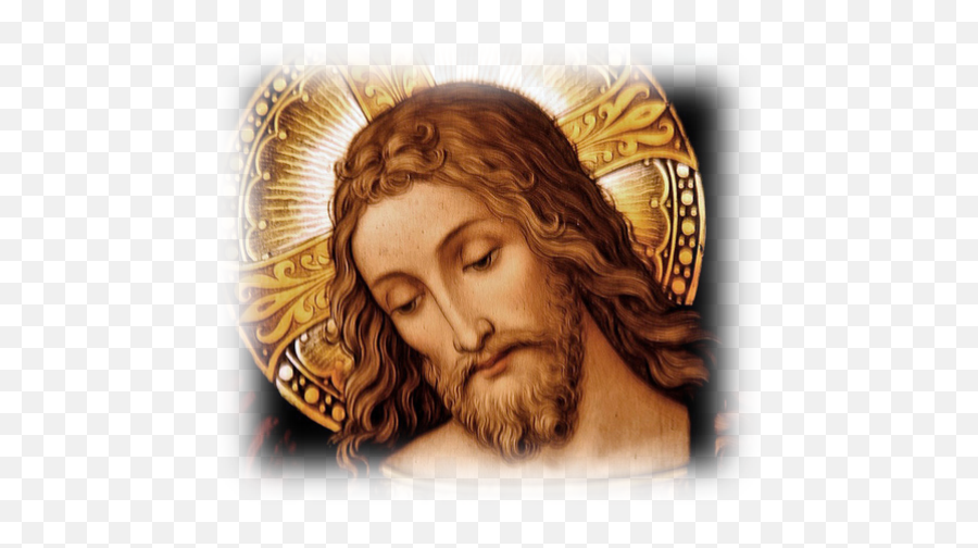 Download Face Of Jesus - Portrait Of Christ Stained Glass Colossians 1 12 20 Png,Jesus Face Png
