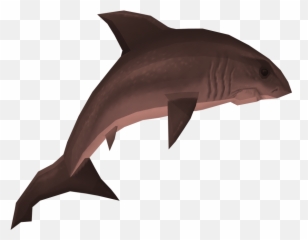 Great White Shark - Mackerel Sharks png