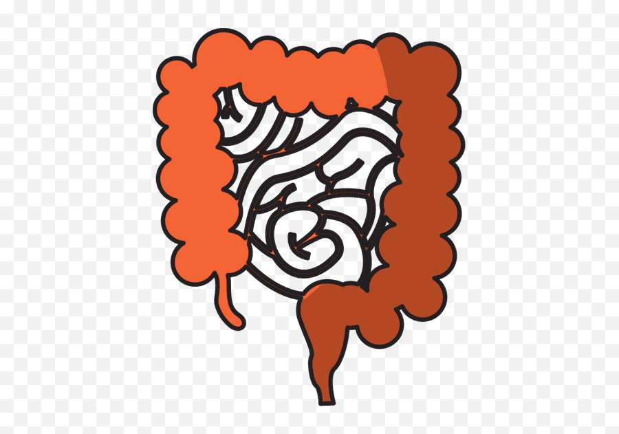 Human Organ Intestine Icon - Canva Vertical Png,Intestine Icon