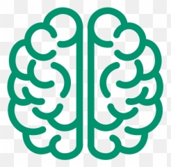 What We Do The Research Foundation - Language Png,Electronic Brain Icon