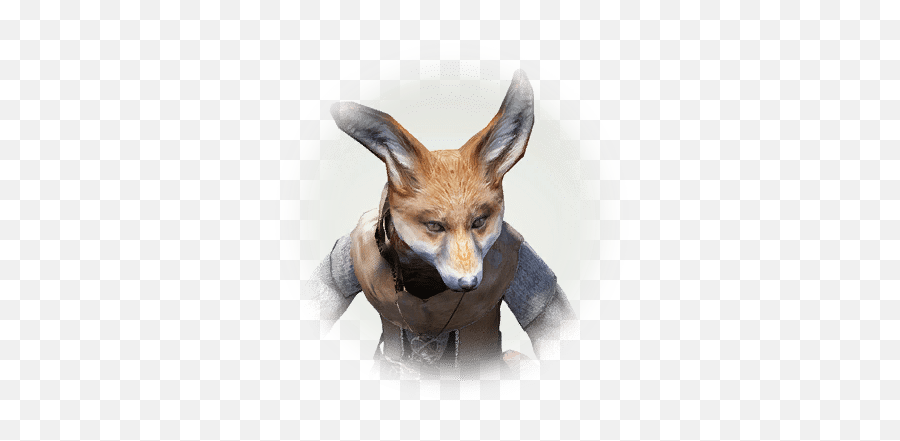 Dried - Up Seed Bdo Codex Red Fox Png,Fox Stock Icon