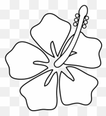 Free Hibiscus Flower Outline Download - Drawing Hawaii png