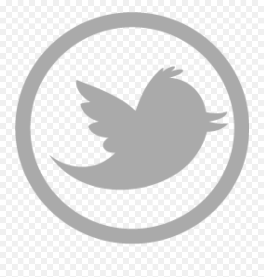 Twitter - Icon Software Technologies Limited Png,Daniel Icon