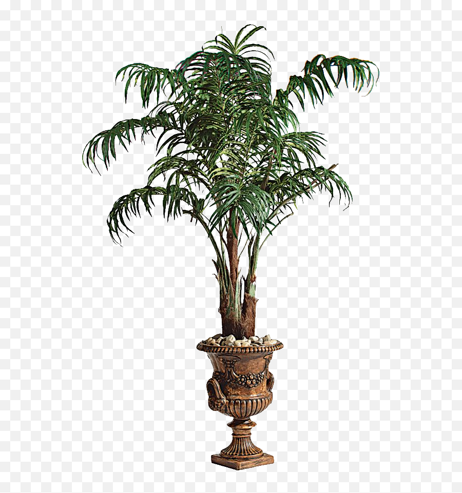 Palm Tree Png Image Large Size - Png Format Png Photo Palm In Pot Png,Palm Png