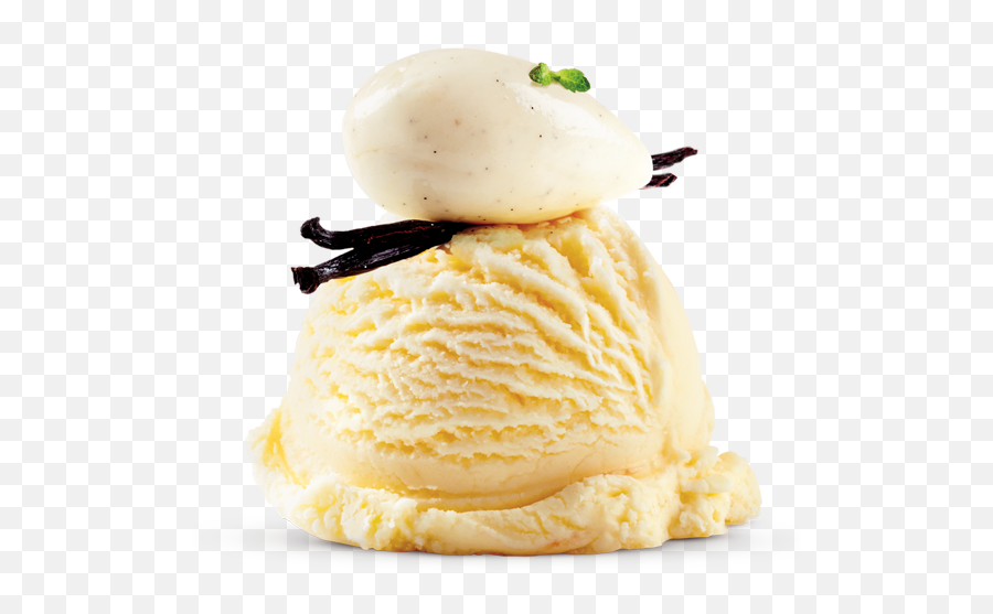 French Vanilla Png Image - Ice Cream Vanilla Png,Vanilla Png