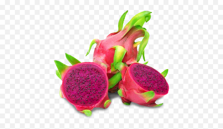 Kien Import Export Trading Co - Buah Naga English Png,Dragonfruit Png