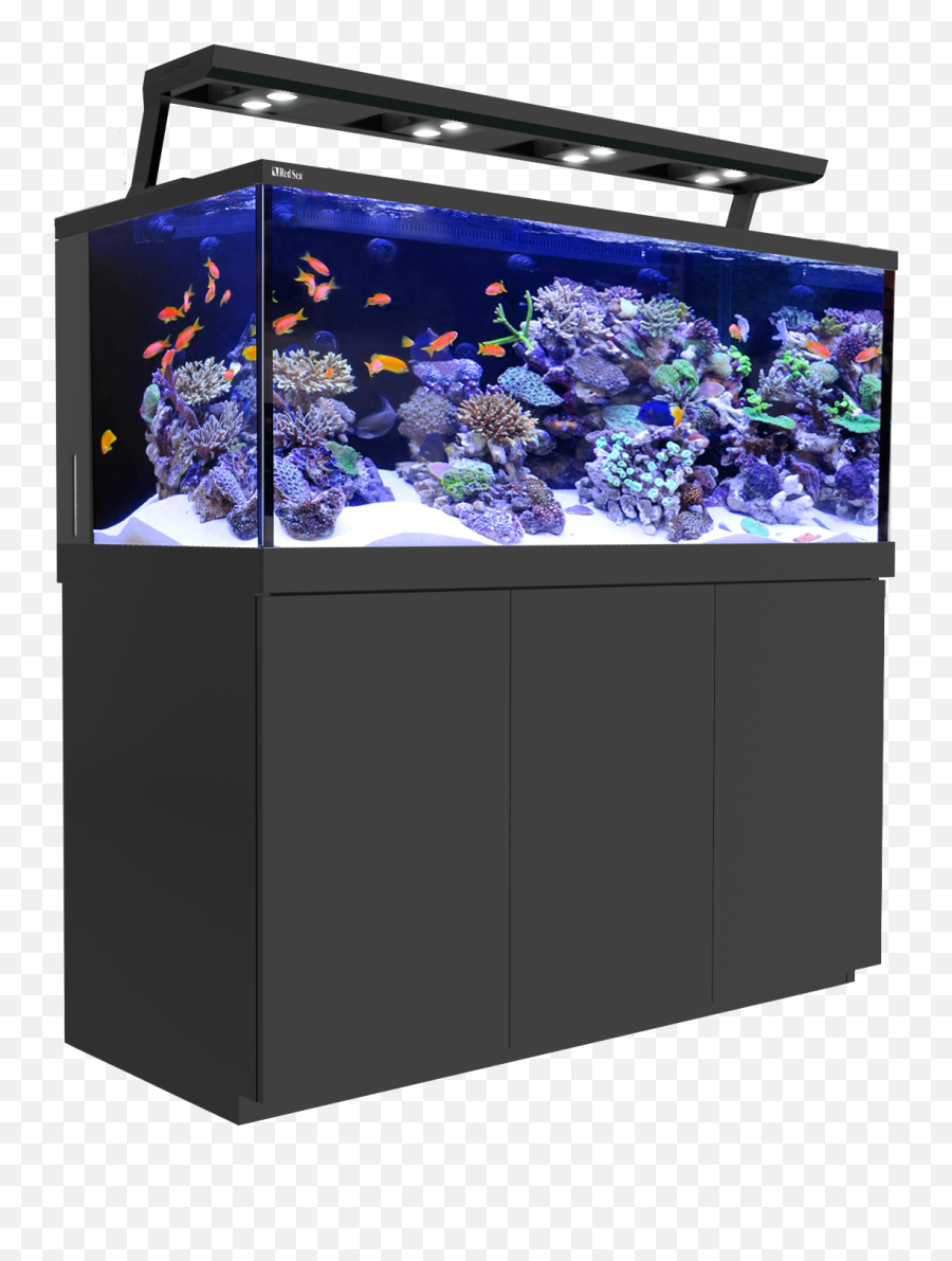 Aquarium Png - Red Sea Reefer 525 Xl,Fish Tank Png