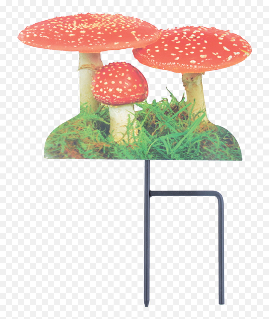 Garden Stick Toadstool - Esschert Design Tp193 Garden Stick Toadstool Png,Toadstool Png