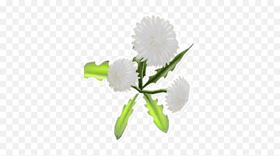White Dandelion Garden Paws Wiki Fandom - Red Dandelion Png,Dandelion Transparent