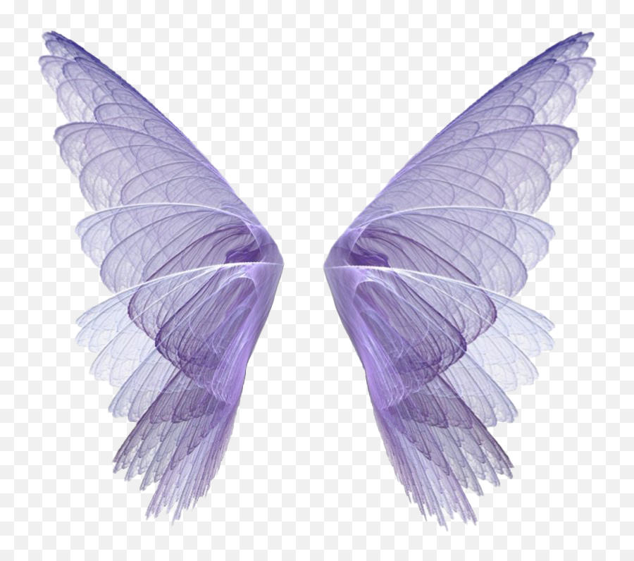 Fairy Wings Png Image Transparent - Fairy Wings Transparent Background,Fairy Wings Png