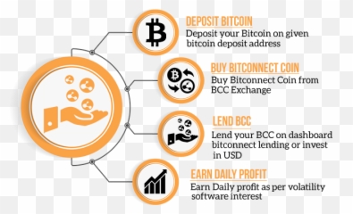 Bitconnect Ponzi Scheme - Bitcoin Ponzi Scheme Png,Bitconnect Png