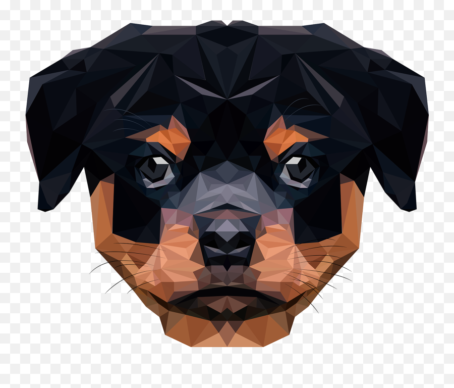 Rottweiler Puppy Low Poly - Origami Png,Rottweiler Png