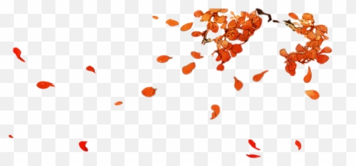 Hand Painted Golden Leaves Falling Png - Petalas Voando Png,Falling Png