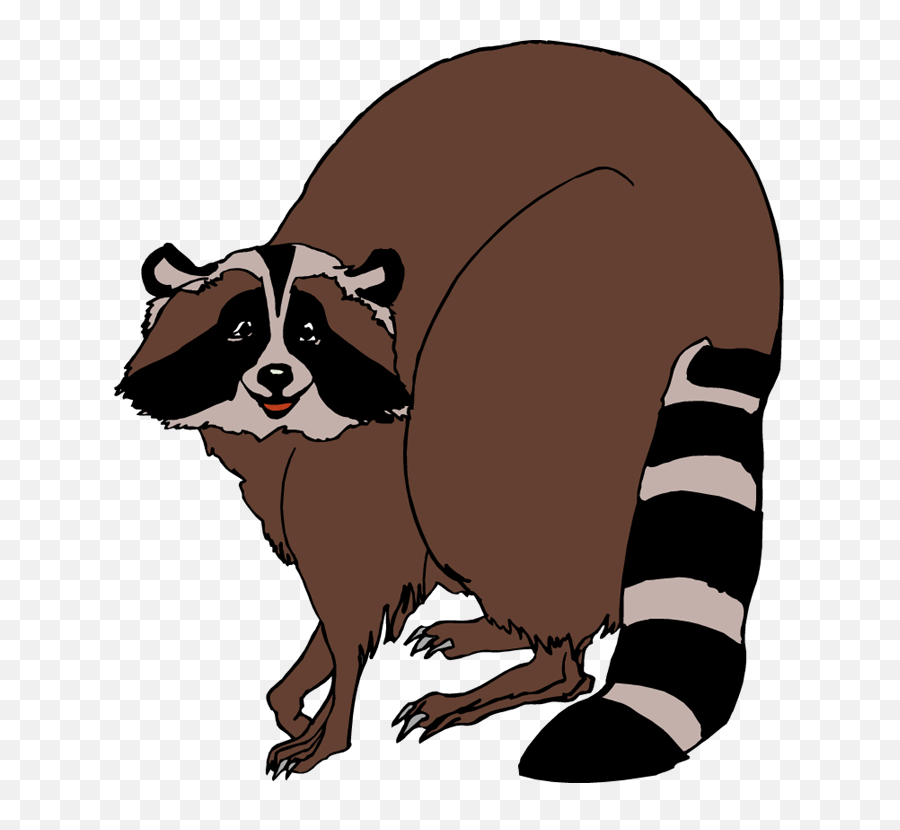 Raccoon Clipart - Raccoon Clip Art Png Download Full Raccoon Clipart Png,Raccoon Transparent