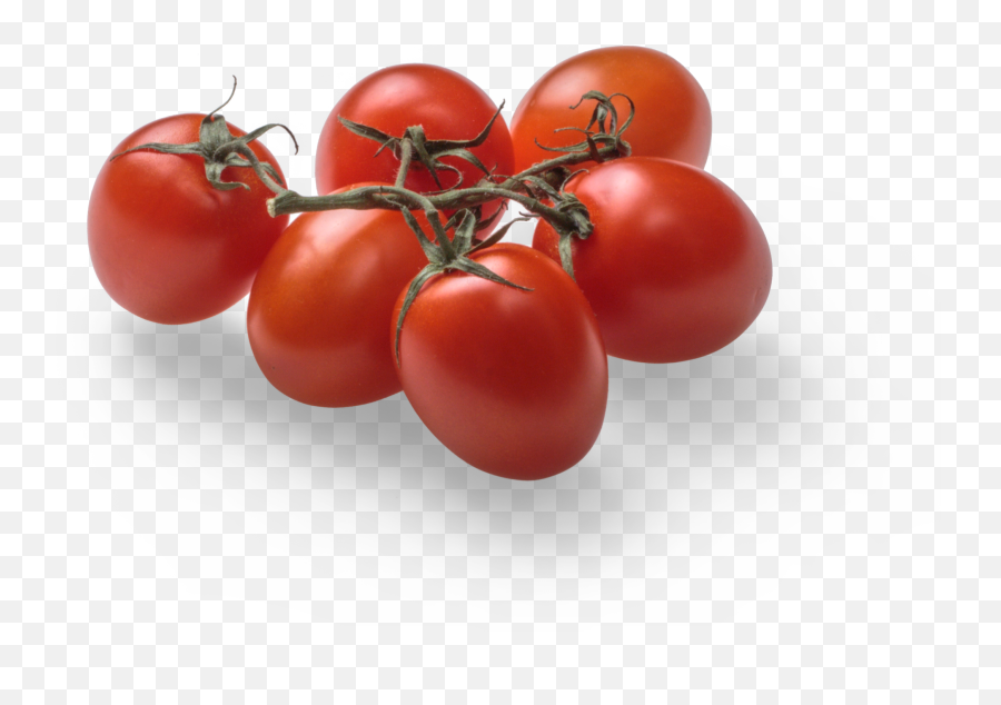 Tomato Graphic Asset - Plum Tomato Png,Tomato Transparent Background