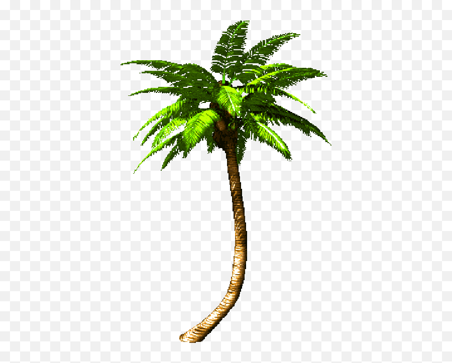 Palm Clipart Animation Transparent Free For - Palm Tree Transparent Gif Png,Cartoon Palm Tree Png