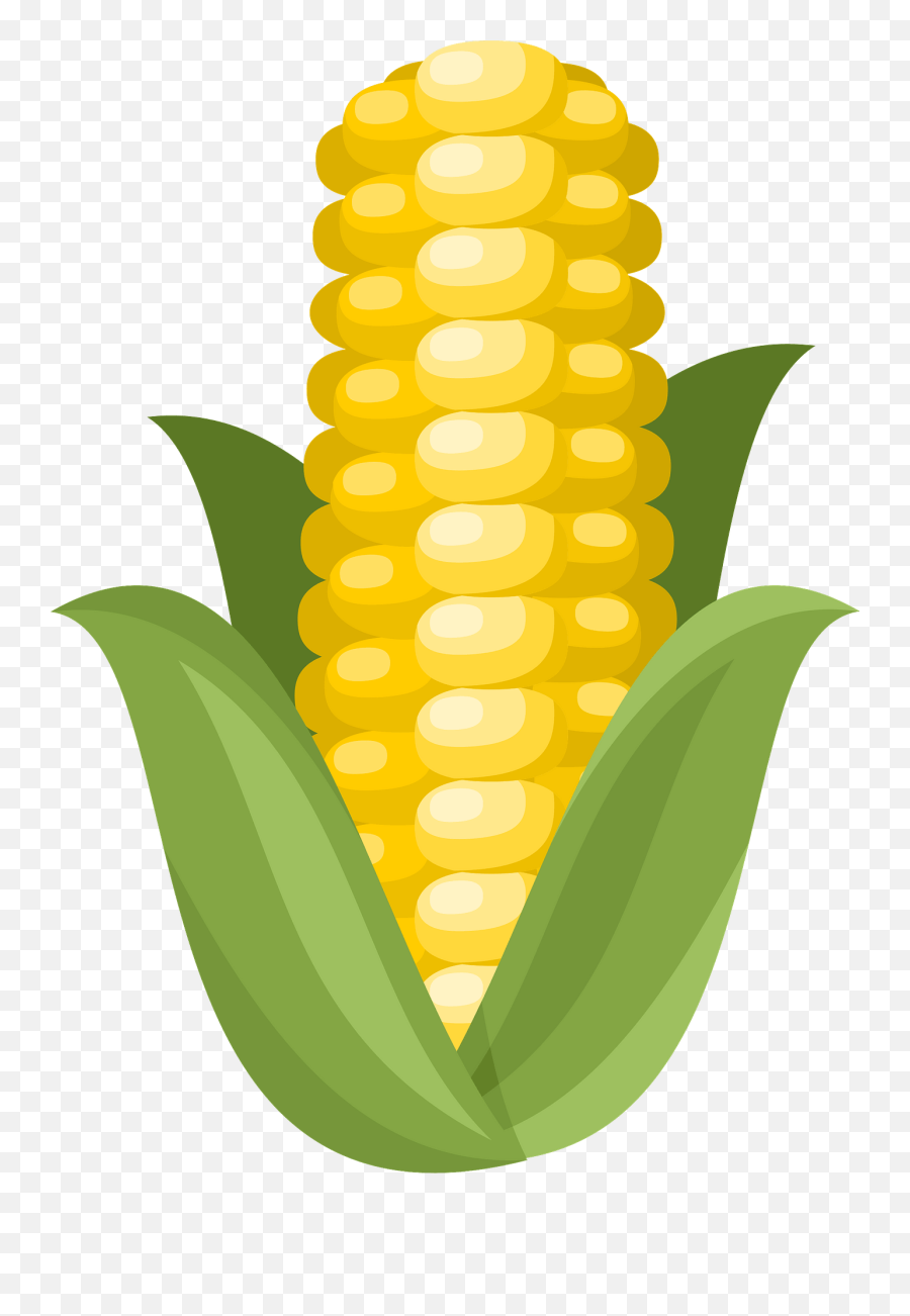 Ear Of Corn Clipart Free Download Transparent Png Creazilla - Ear Of Corn Clipart,Corn Plant Png