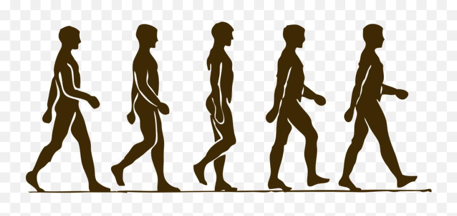 Man Human Silhouette - Man Walking Step By Step Png,Human Silhouette Png