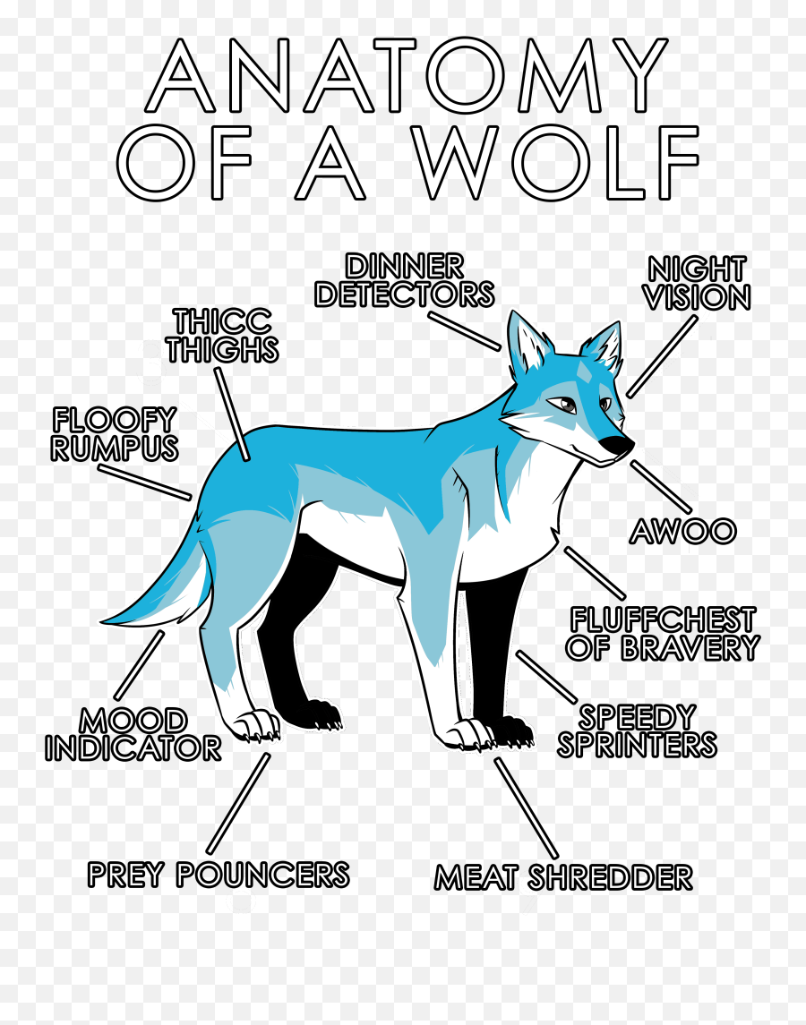 Anatomy Of A Wolf - Anatomy Of A Wolf Png,Furry Png
