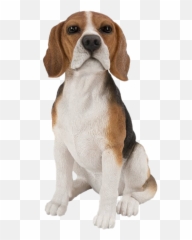 Dog Sitting Png Clipart - Png Dog,Dog Sitting Png