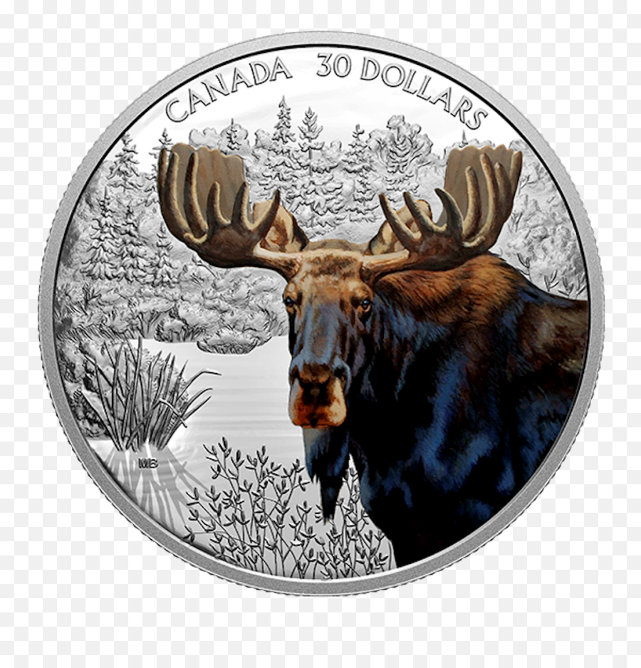 2 Oz - Canadian Mint Moose Coin Png,Icon Coin