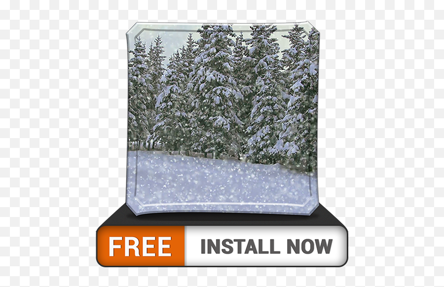 Heavy Snowfall Hd - Spruce Png,Snowfall Transparent