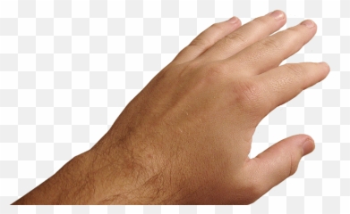 Download Free Hands Png Image Icon Favicon Freepngimg