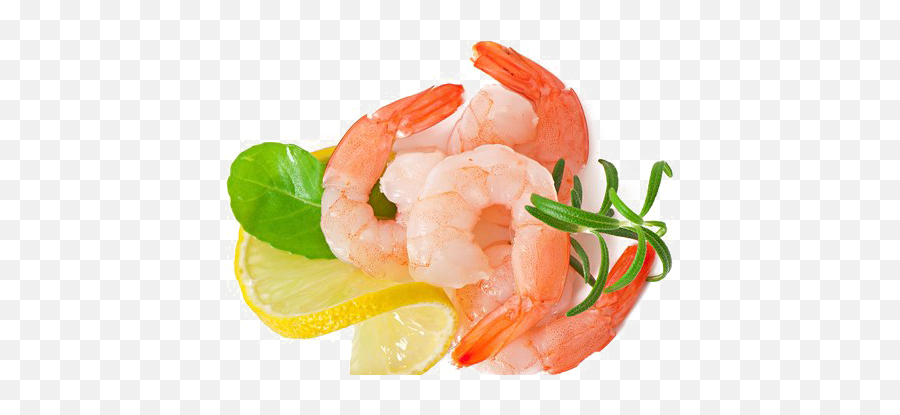 Download Shrimp Transparent Images - Shrimp Images No Background Png,Shrimp Png