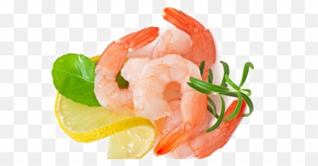 Download Shrimp Transparent Images - Shrimp Images No Background Png,Shrimp Png