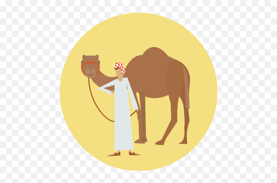 Recent Camel Png Icons And Graphics - Png Repo Free Png Icons Vector Camel Icon Png,Camel Png