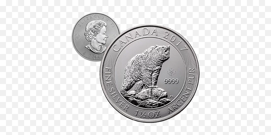 Silver Canadian Grizzly Bear - Remington Gold Png,Grizzly Bear Png