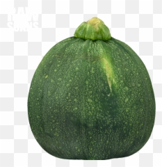 Zucchini Transparent Background - Png Transparent Background Winter Squash,Zucchini Png