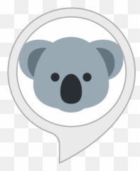 Amazoncom Koala Facts Alexa Skills - Koala Emoji Png,Koala Transparent