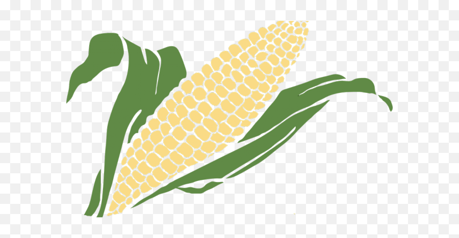 Download Hd Grain Clipart Corn - Maize Logo Ear Of Corn Clipart Png,Corn Png