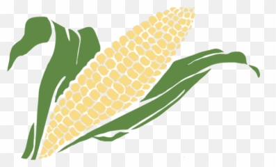 Download Hd Grain Clipart Corn - Maize Logo Ear Of Corn Clipart Png,Corn Png