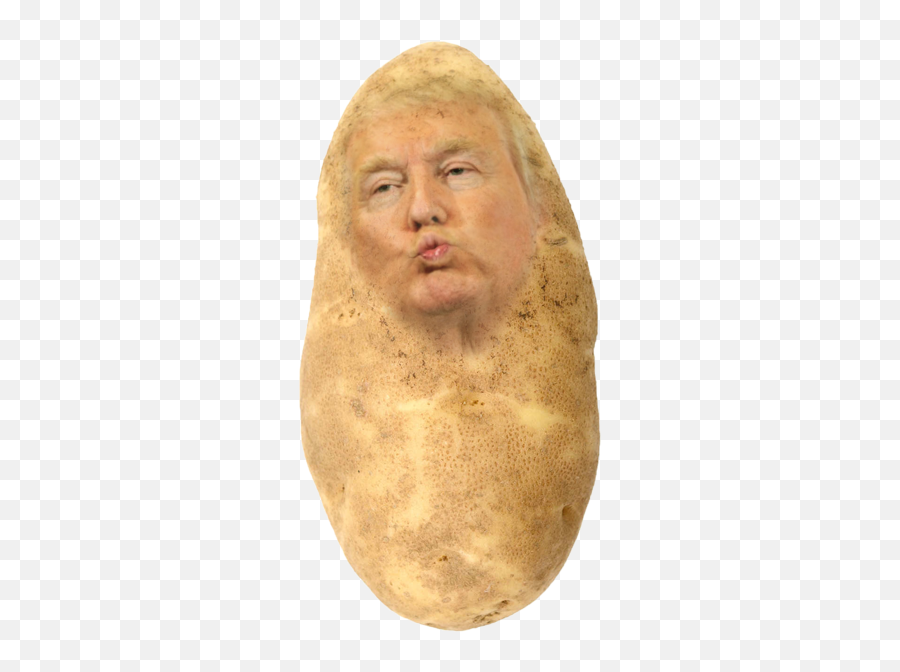 Potato Trump Jellyfruity The Anime Wiki Fandom - Trump As A Potato Png,Trump Png