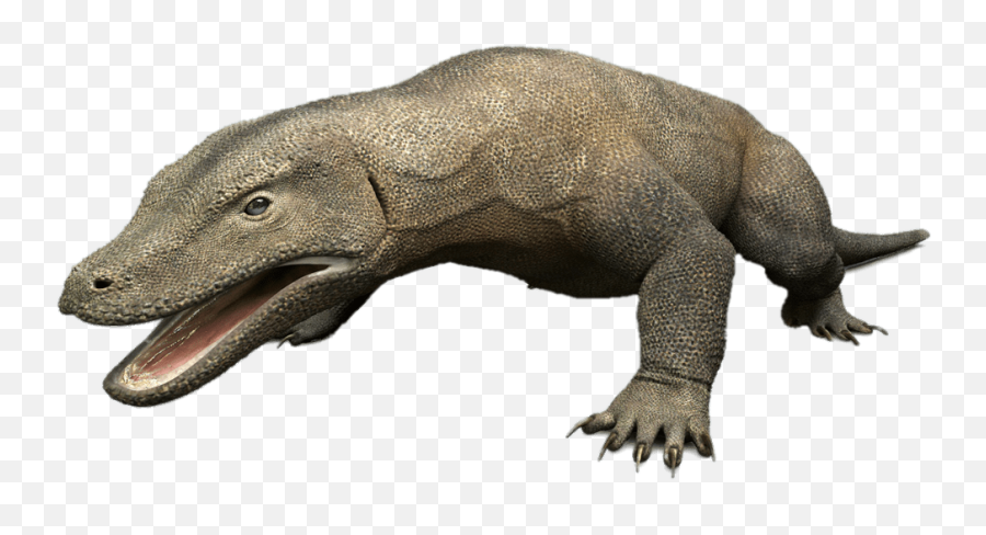 Komodo Dragon 3d Model Transparent Png - Stickpng Komodo Dragon Png,Dragon Clipart Transparent Background