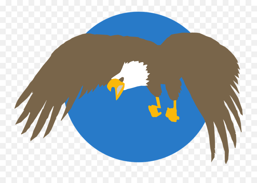 Bald Eagle Png - Blue Circle Eagle Eagle Png Circle Eagle Png Circle,Bald Eagle Png