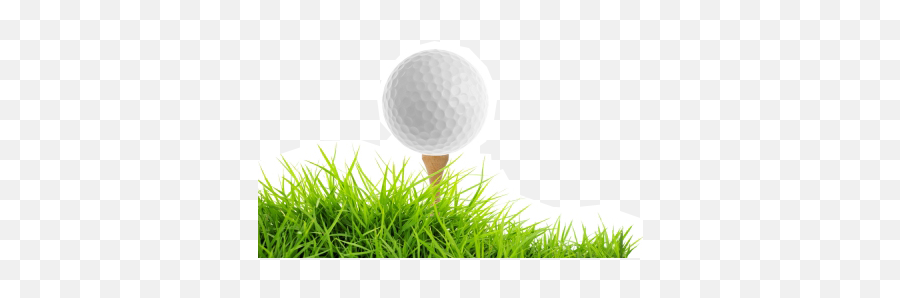 90 Golf Png Image Collection Free To - Golf Ball In Grass Png,Golf Png