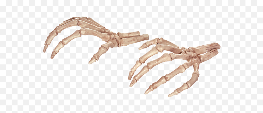 Bone Hands Png Picture - Transparent Skeleton Hand Png,Skeleton Hand Png