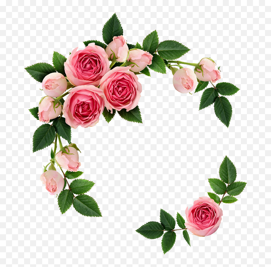 White and pink flower wreath illustration, Rose Flower Wreath , Rose ring  transparent background PNG, Delicate Garland Clipart generative ai 27181960  PNG