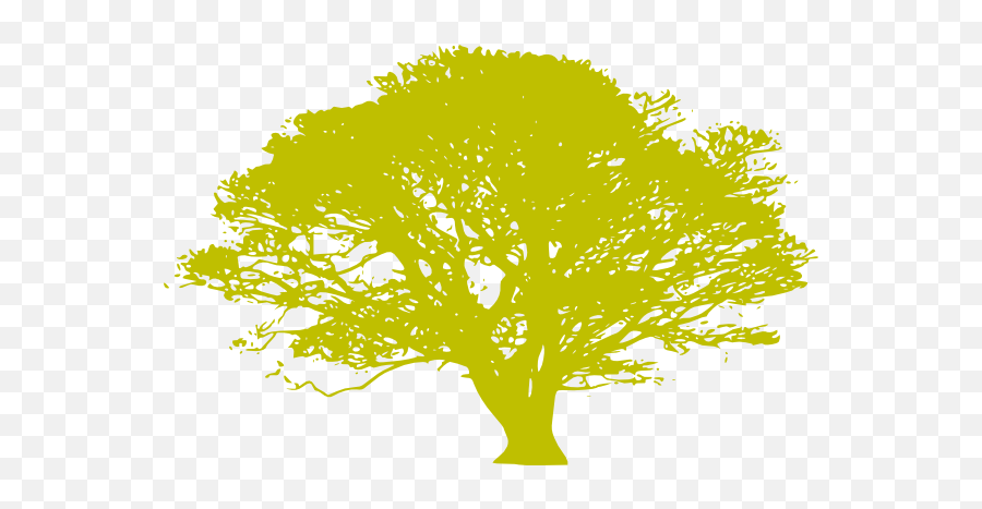 African Tree - Oak Tree Silhouette Png,African Tree Png